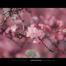 南京旅游 缩略图 14