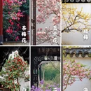 苏州旅游 缩略图 1