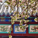 济南旅游 缩略图 9