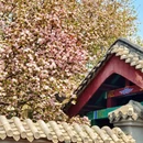 济南旅游 缩略图 11