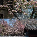 济南旅游 缩略图 12