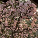 苏州旅游 缩略图 8