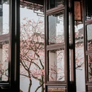 苏州旅游 缩略图 7