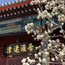 天津旅游 缩略图 7