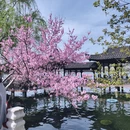 南京旅游 缩略图 9