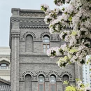 天津旅游 缩略图 13