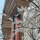天津旅游 缩略图 12