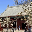天津旅游 缩略图 9