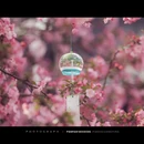 南京旅游 缩略图 2