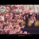 南京旅游 缩略图 5