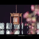 南京旅游 缩略图 9