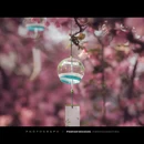 南京旅游 缩略图 7