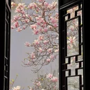 苏州旅游 缩略图 1