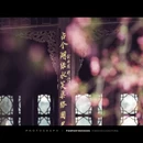 南京旅游 缩略图 11