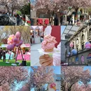 天津旅游 缩略图 1