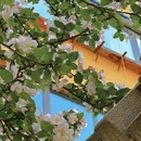 太原旅游 缩略图 2
