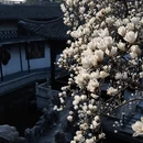 扬州旅游 缩略图 1