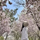 青岛旅游 缩略图 2