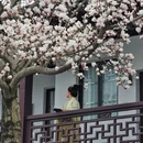 苏州旅游 缩略图 1