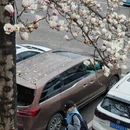苏州旅游 缩略图 3