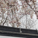 苏州旅游 缩略图 6