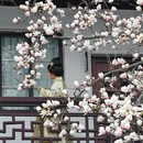 苏州旅游 缩略图 5