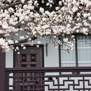 苏州旅游 缩略图 7