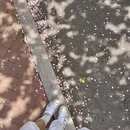 青岛旅游 缩略图 6