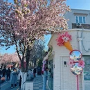 天津旅游 缩略图 7