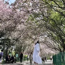 青岛旅游 缩略图 9