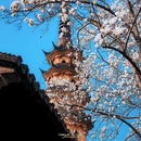 苏州旅游 缩略图 11