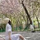 青岛旅游 缩略图 8