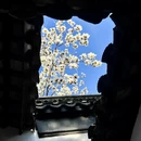 苏州旅游 缩略图 11
