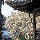 扬州旅游 缩略图 4