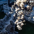 扬州旅游 缩略图 6