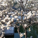 扬州旅游 缩略图 8