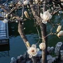 扬州旅游 缩略图 7