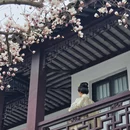 苏州旅游 缩略图 9