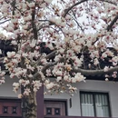 苏州旅游 缩略图 8