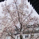 苏州旅游 缩略图 10