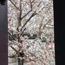 苏州旅游 缩略图 17