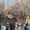 天津旅游 缩略图 6