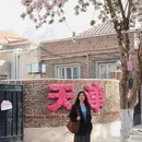 天津旅游 缩略图 5