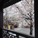 苏州旅游 缩略图 16