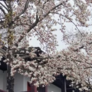 苏州旅游 缩略图 13