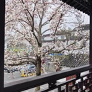 苏州旅游 缩略图 14