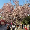天津旅游 缩略图 7