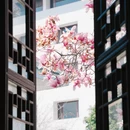 苏州旅游 缩略图 13