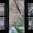 苏州旅游 缩略图 11