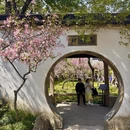 苏州旅游 缩略图 3